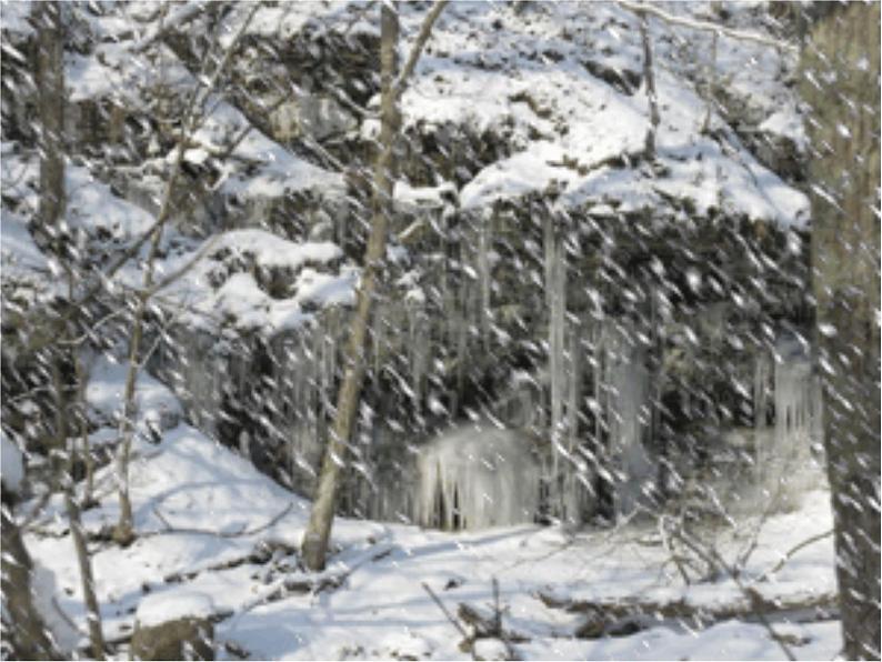 部编版小学语文一年级上册12雪地里的小画家课件06