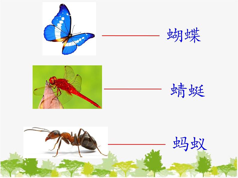 部编版小学语文一年级下册《识字5：动物儿歌》课件(2)06