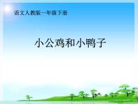 小学语文人教部编版一年级下册5 小公鸡和小鸭子示范课课件ppt