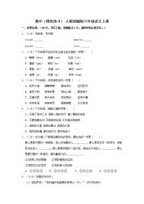 期中（模拟练习）-人教部编版六年级语文上册