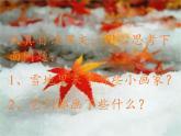 人教版（部编版）小学语文一年级上册 12 雪地里的小画家  课件