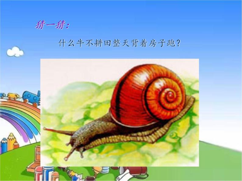 部编版小学语文一年级上册14 小蜗牛课件03
