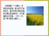 部编版小学语文一年级上册4《四季》知识拓展（课件）