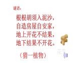 人教版语文上第一单元2落花生ppt