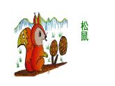人教版语文上第五单元17松鼠ppt