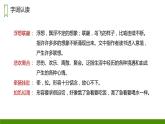 部编版语文五年级上册 27_ 我的“长生果”  课件