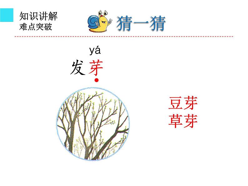 人教版（部编版）小学语文一年级上册 14 小蜗牛   课件第6页