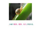 人教版（部编版）小学语文一年级上册 14 小蜗牛   课件
