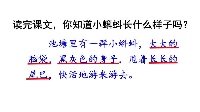 新部编版二年级上语文《1 小蝌蚪找妈妈》优质公开课教学课件第6页