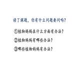 新部编版二年级上语文《3 植物妈妈有办法》优质公开课教学课件