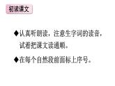 新部编版二年级上语文《17 难忘的泼水节》优质公开课教学课件