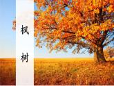 新部编版二年级上语文识字2《树之歌》优质公开课教学课件