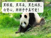 新部编人教版二年级上语文《口语交际：有趣的动物》优质公开课教学课件