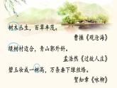 新部编人教版二年级上语文识字2《树之歌》优质公开课教学课件