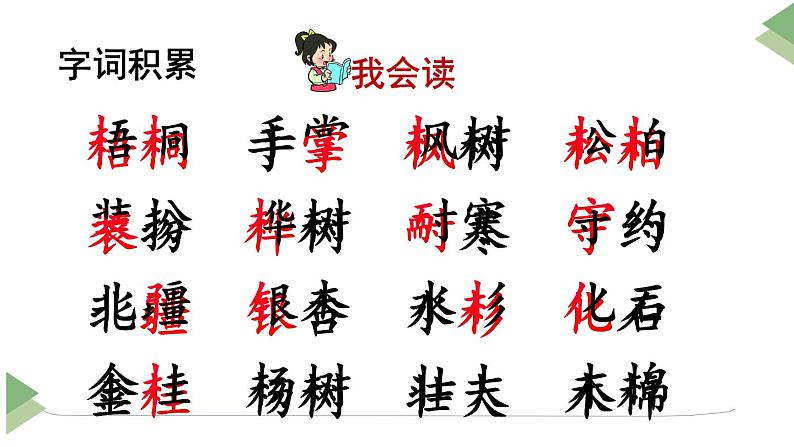 新部编人教版二年级上语文识字2《树之歌》优质公开课教学课件第4页