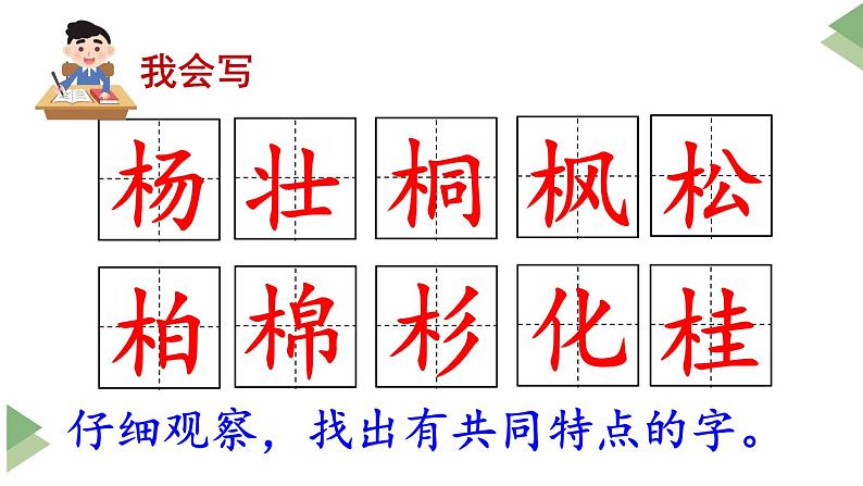 新部编人教版二年级上语文识字2《树之歌》优质公开课教学课件第6页