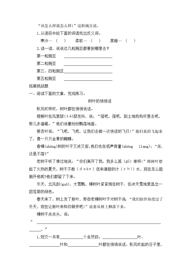 部编版语文四年级上册5.《一个豆荚里的五粒豆》（课件+教案+习题）03
