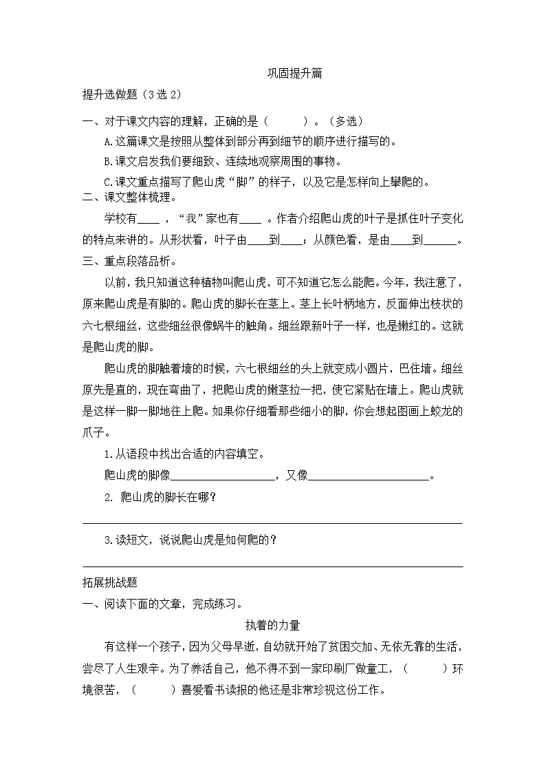 部编版语文四年级上册10.《爬山虎的脚》（课件+教案+习题）02