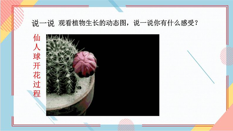 部编版语文四年级上册习作三《写观察日记》（课件+教案）03