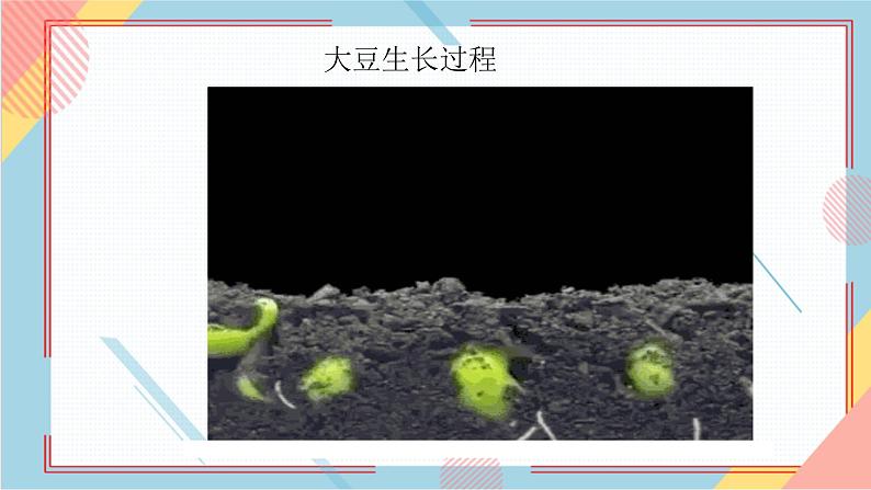部编版语文四年级上册习作三《写观察日记》（课件+教案）04