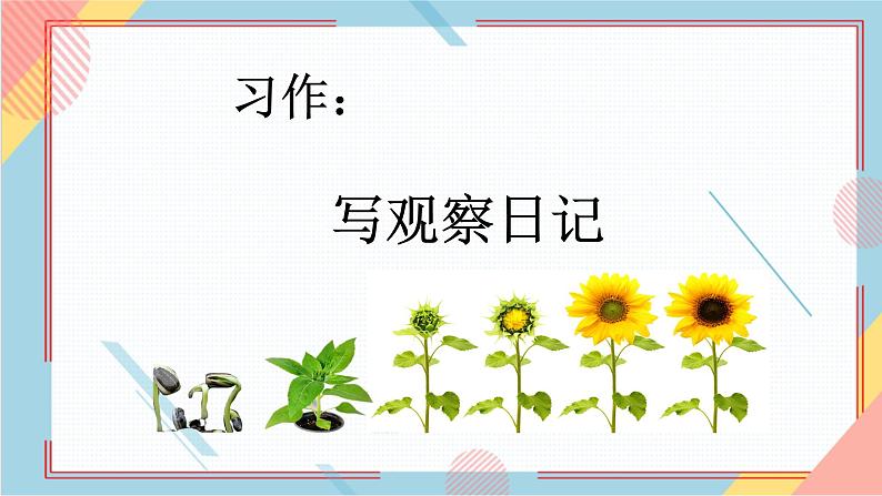 部编版语文四年级上册习作三《写观察日记》（课件+教案）07
