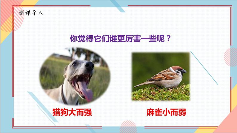 部编版语文四年级上册16.《麻雀》（课件+教案+习题）03