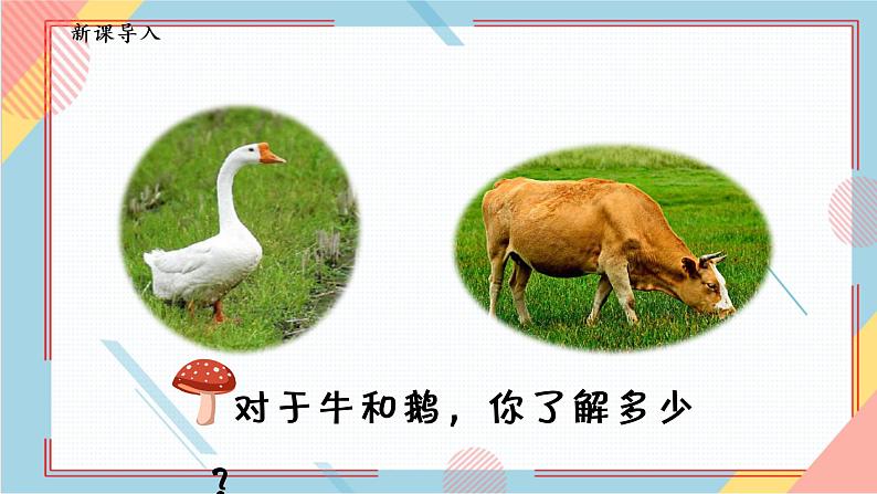 部编版语文四年级上册18.《牛和鹅》（课件+教案+习题）04
