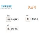二年级下册语文课件 祖先的摇篮 人教部编版（PPT13页）