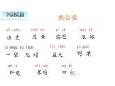 二年级下册语文课件 祖先的摇篮 人教部编版（PPT13页）