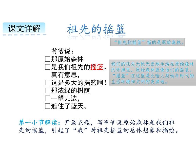 二年级下册语文课件 祖先的摇篮 人教部编版（PPT13页）06