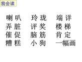 二年级语文上册教学课件-5.玲玲的画4-部编版(共36张PPT)