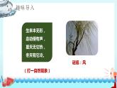 二年级语文上册课件-24.风娃娃9-部编版(共22张PPT)