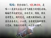 夜间飞行的秘密课件