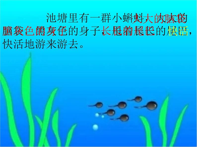 人教版（部编版）小学语文二年级上册1.小蝌蚪找妈妈  课件04