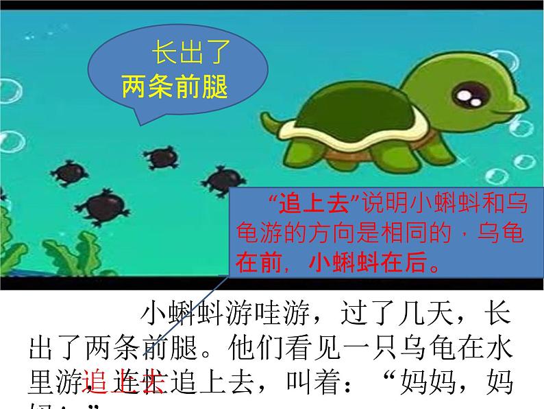 人教版（部编版）小学语文二年级上册1.小蝌蚪找妈妈  课件06