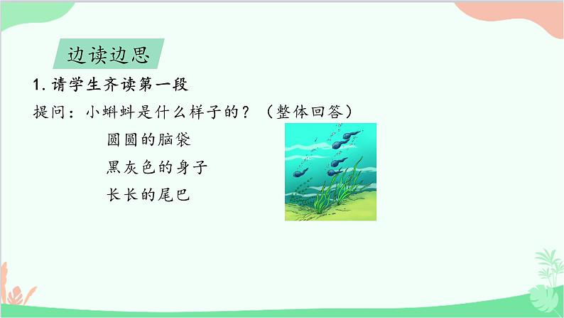 人教版（部编版）小学语文二年级上册1.小蝌蚪找妈妈  课件04