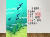 人教版（部编版）小学语文二年级上册1.小蝌蚪找妈妈  课件