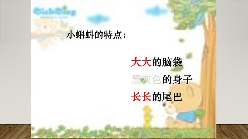 人教版（部编版）小学语文二年级上册1.小蝌蚪找妈妈  课件04