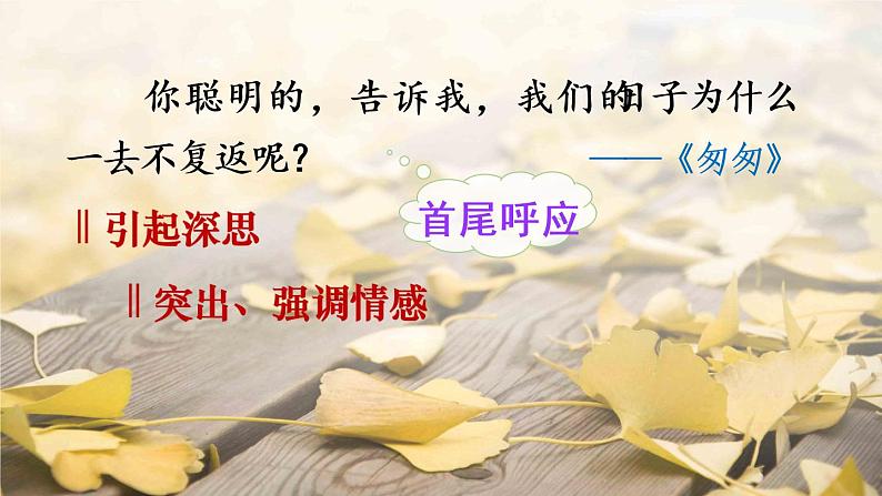 部编版语文六下  语文园地四  授课课件+教案08