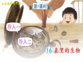 16《表里的生物》授課課件+生字課件+教案+課文朗讀