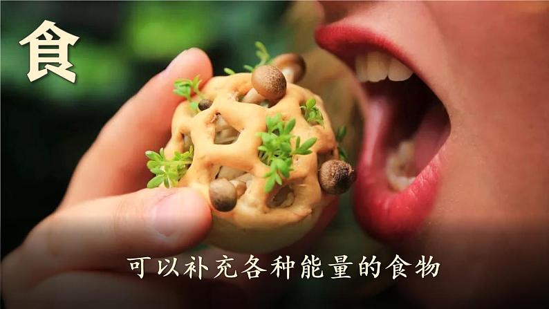 部编版语文六下  习作五：插上科学的翅膀飞  授课课件+教案06