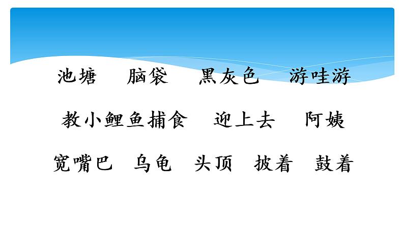 部编版语文二年级上册课文1 小蝌蚪找妈妈2课时   课件第3页