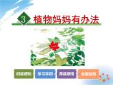 小学统编版二年级语文上册PPT课件3植物妈妈有办法1课时