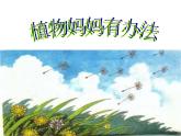 小学统编版二年级语文上册PPT课件3植物妈妈有办法2