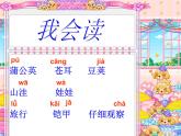 小学统编版二年级语文上册PPT课件3植物妈妈有办法2