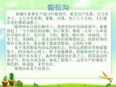 小学统编版二年级语文上册PPT课件葡萄沟2