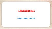 小学语文人教部编版六年级下册5 鲁滨逊漂流记（节选）图片ppt课件