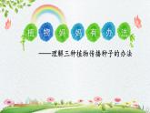 人教版（部编版）小学语文二年级上册 3.植物妈妈有办法  课件