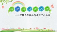 人教部编版二年级上册3 植物妈妈有办法教学演示ppt课件