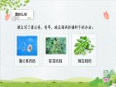 人教版（部编版）小学语文二年级上册 3.植物妈妈有办法  课件